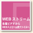 WEBXg[ MediaPlayer` RealPlayer` QuickTime`